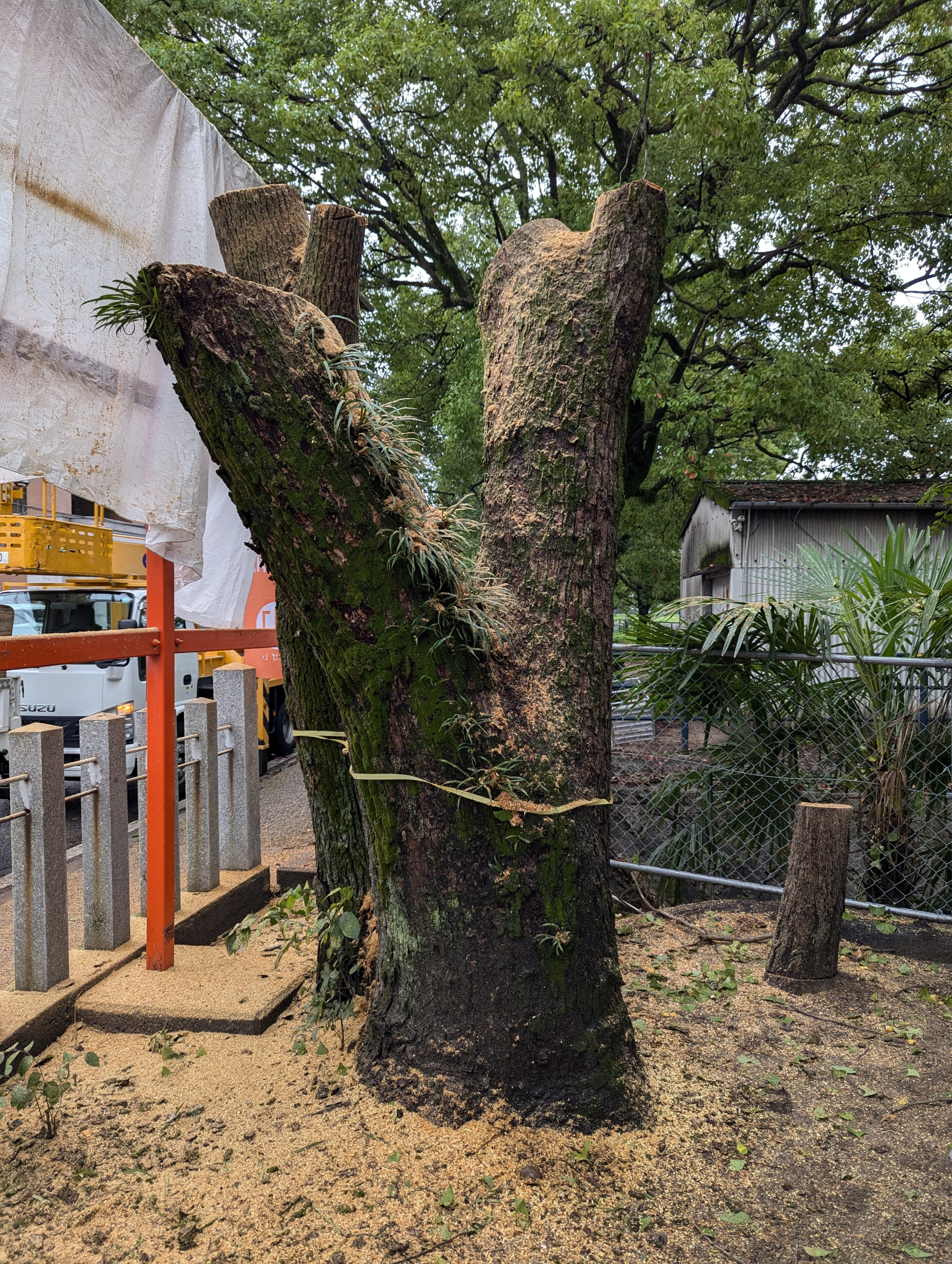 秋のはじまりとともに