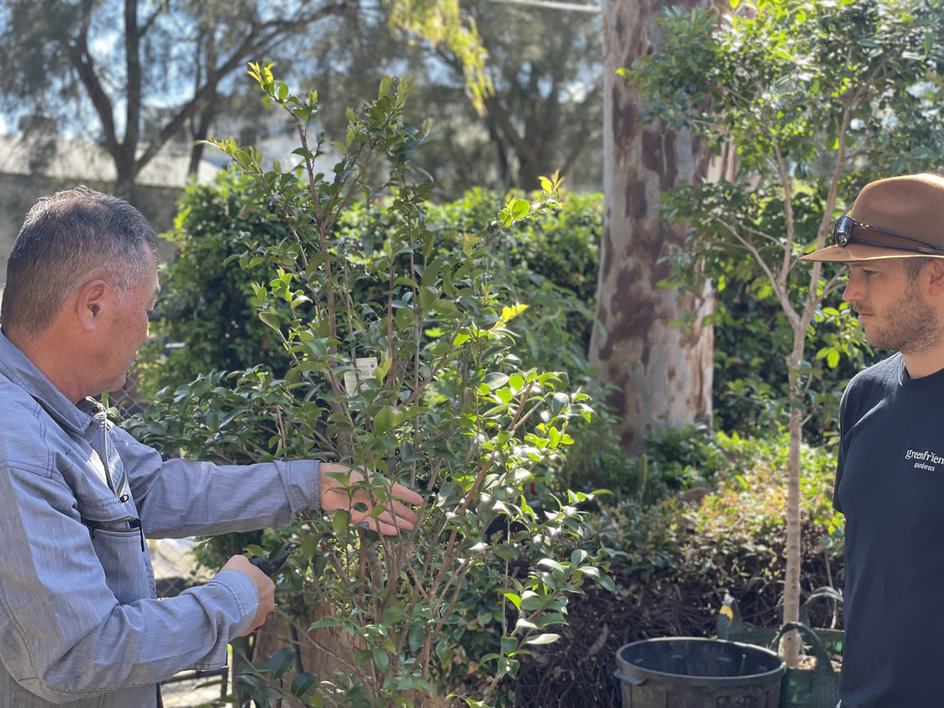 海外プロジェクト「日本庭園企画施工・造園技術継承プロジェクト」実施経過報告