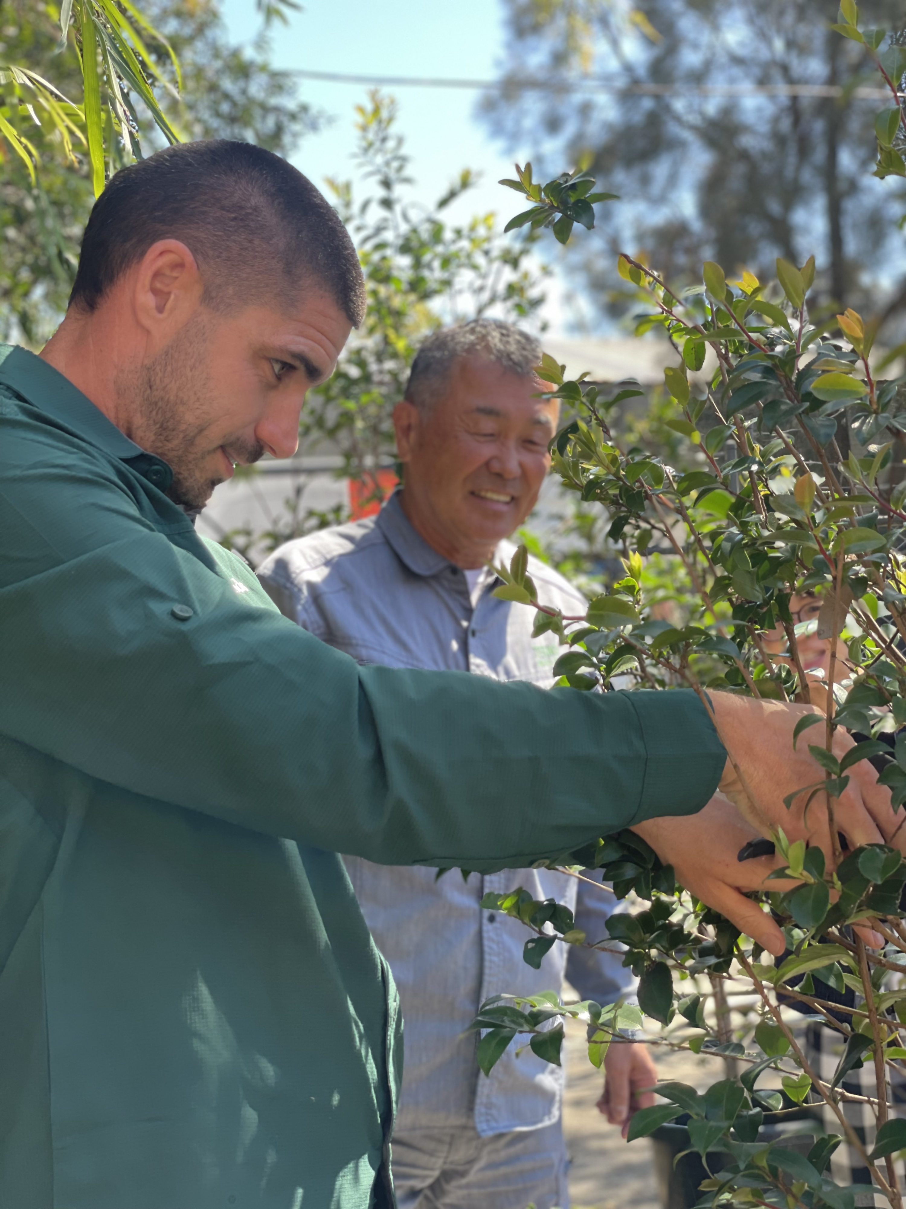 【海外レポート】シドニーで見えた“庭づくりの未来”と日本技術の可能性