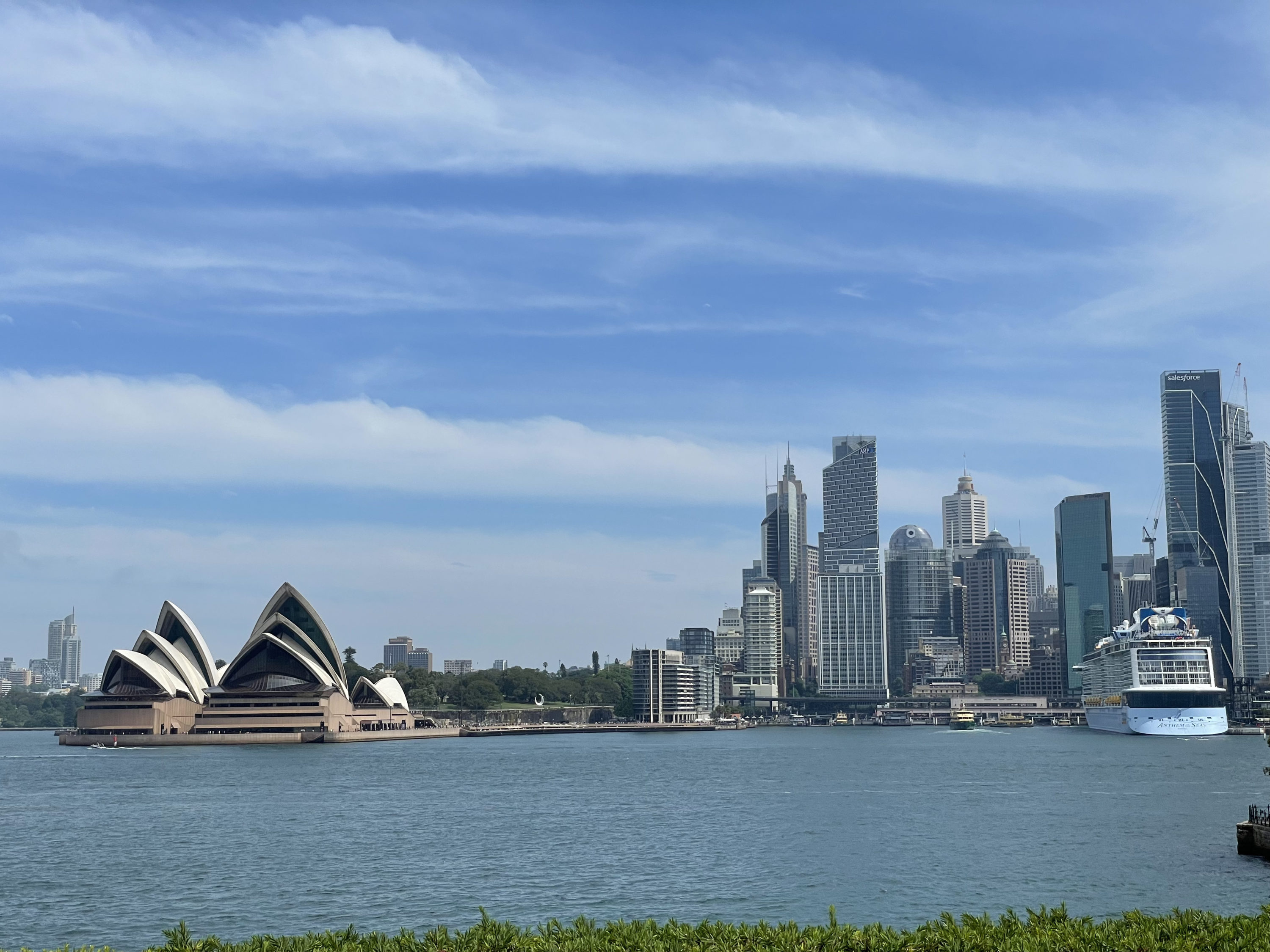 今年の挑戦が、来年の大きな一歩に。─3つの新プロジェクトが動き始めました