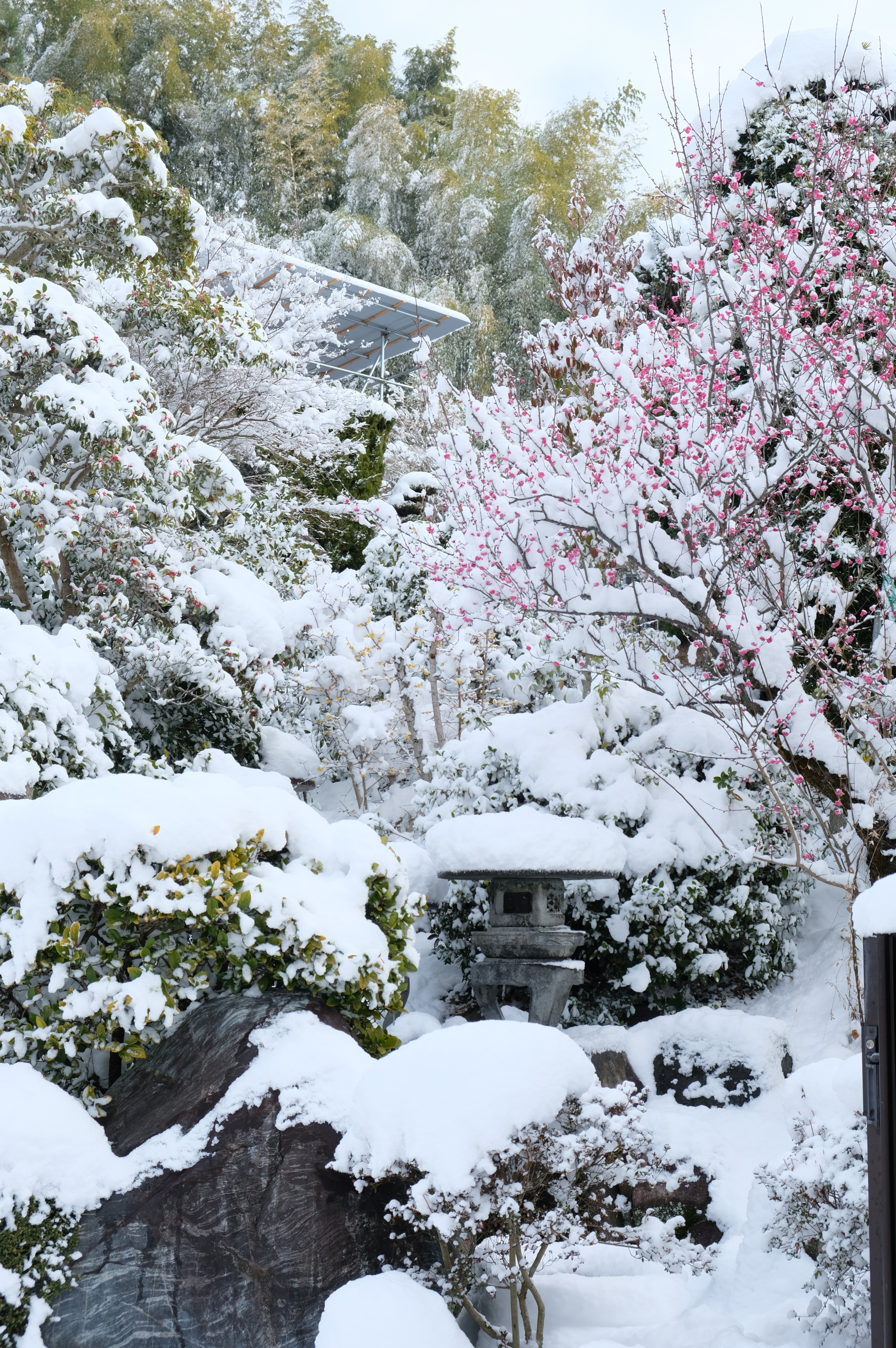 新仲間を迎え、土場を大改造中！